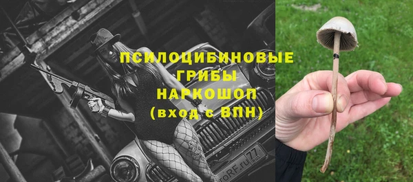 spice Каменногорск