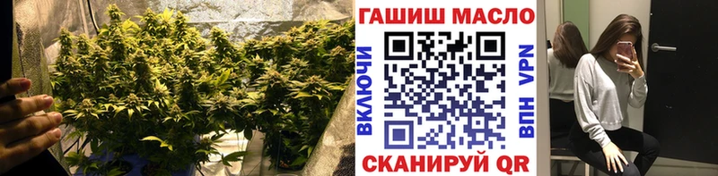 Дистиллят ТГК гашишное масло  наркошоп  Облучье 