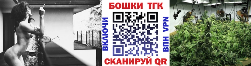 Конопля Amnesia  Облучье 